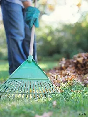 Affordable garden landscaping in Durham, NC by Antonio’s Landscaping