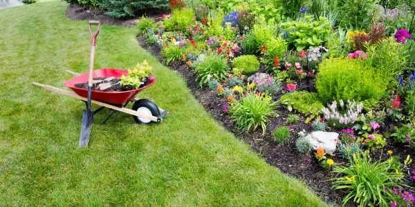 Local lawn care service in Durham, NC - Antonio’s Landscaping