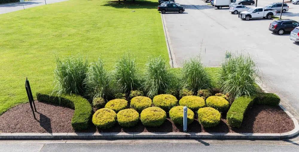 Custom yard maintenance in Germantown, MD by Antonio's Landscaping