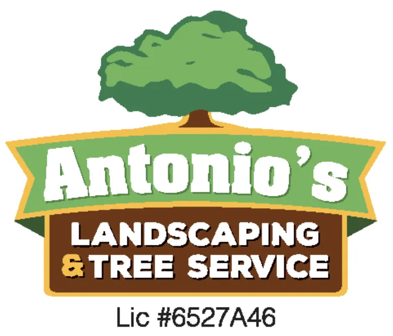 Top-rated landscaping services with custom design across Los Olivos, CA - Antonio's Landscaping