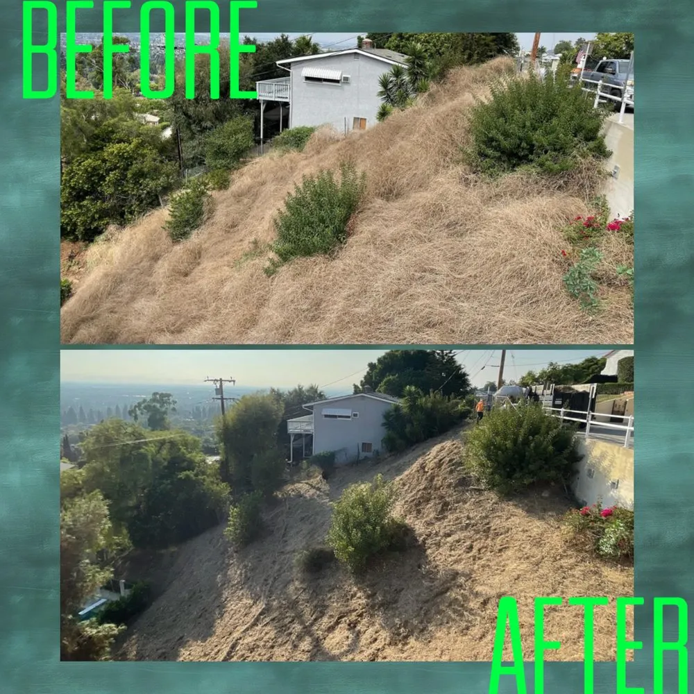 Affordable yard cleanup service for outdoor upgrades across Montclair, CA - Antonio's Landscaping