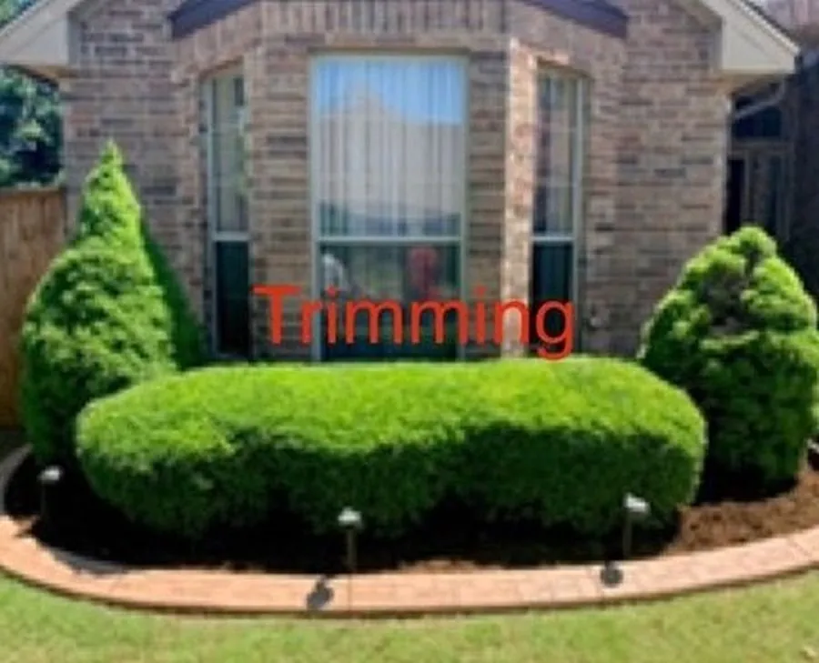 Professional landscaping services in Oklahoma City, OK - Antonio’s Landscaping