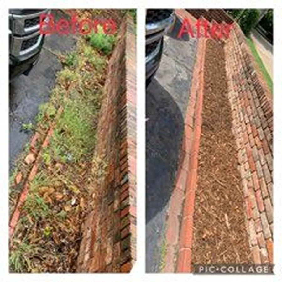 Trusted yard cleanup service for year-round maintenance across Oklahoma City, OK - Antonio’s Landscaping