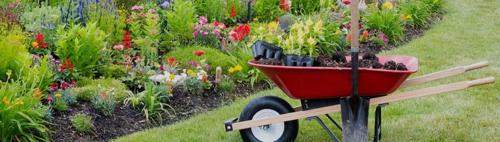 Local landscaping services for outdoor upgrades in Oklahoma City, OK by Antonio’s Landscaping