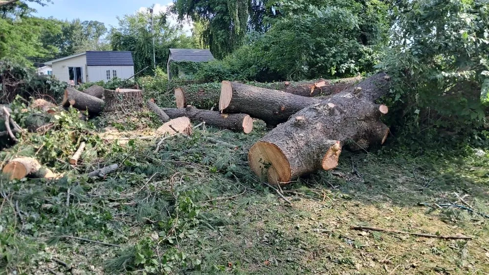 Custom landscaping services in Vienna, VA - Antonio's Landscaping