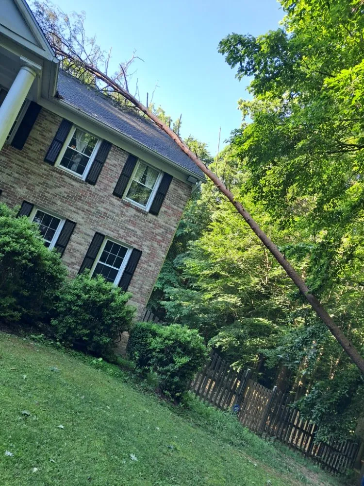 Trusted outdoor landscaping in Vienna, VA - Antonio's Landscaping