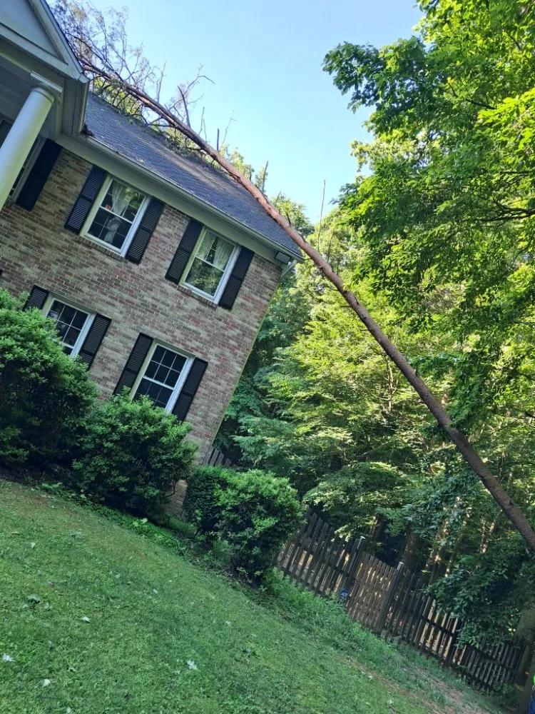 Expert landscape installation for outdoor upgrades in Vienna, VA by Antonio's Landscaping