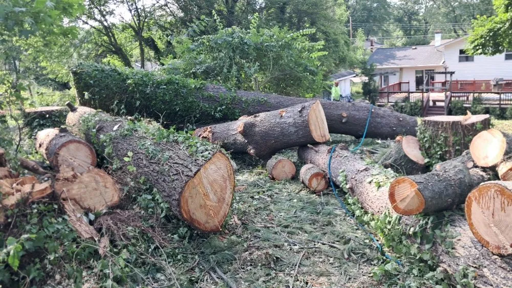 Custom landscape design in Vienna, VA - Antonio's Landscaping