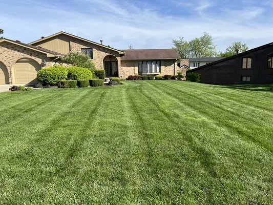 Antonio's Lawn Care Logo