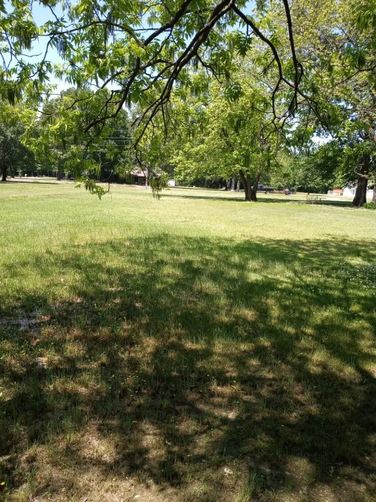 Custom yard cleanup service in Scott, AR by Antonio's Lawn Care