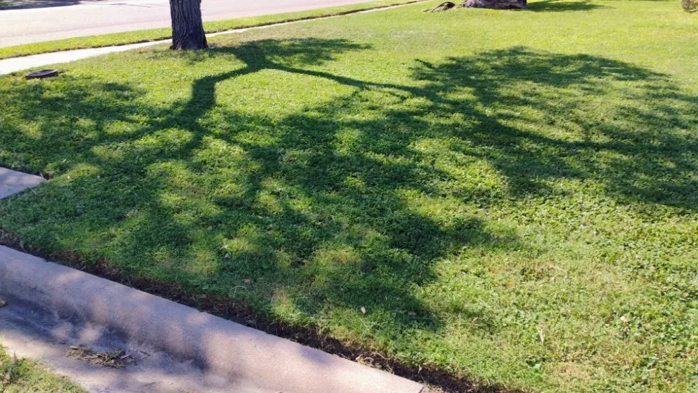 Trusted lawn mowing service experts serving Corpus-Christi, TX - Antonios Lawn Mowing Services