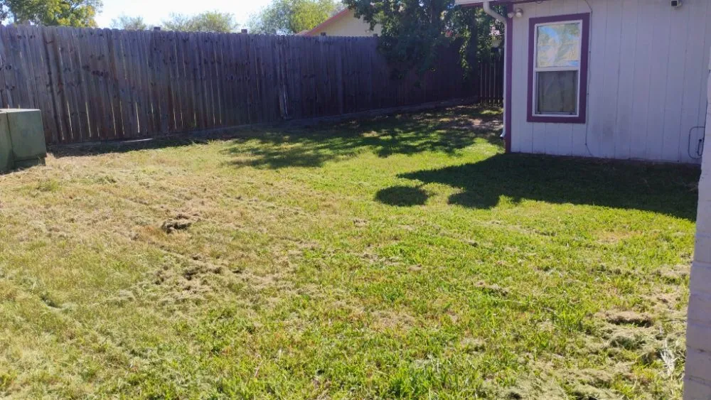 Top-rated yard maintenance experts serving Corpus-Christi, TX - Antonios Lawn Mowing Services
