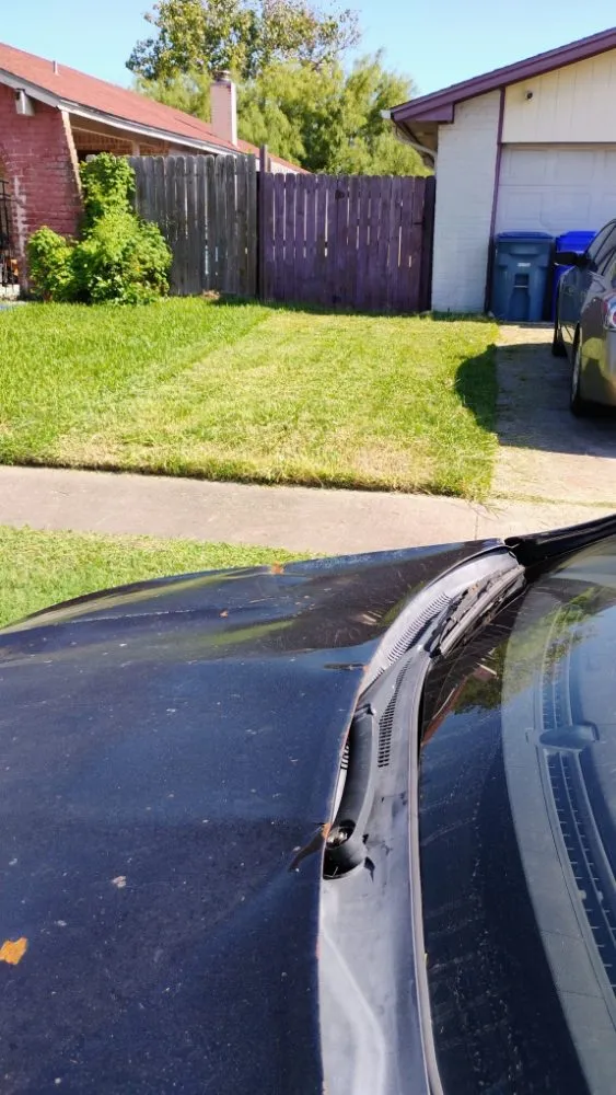 Reliable yard cleanup service in Corpus-Christi, TX - Antonios Lawn Mowing Services
