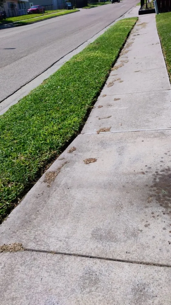 Top-rated lawn mowing service for year-round maintenance in Corpus-Christi, TX by Antonios Lawn Mowing Services