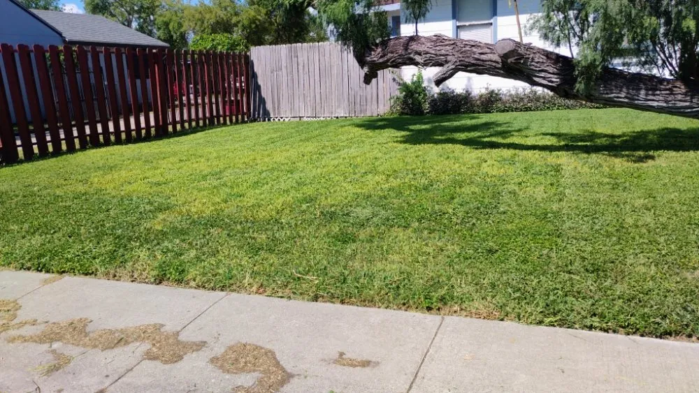 Reliable yard maintenance experts serving Corpus-Christi, TX - Antonios Lawn Mowing Services