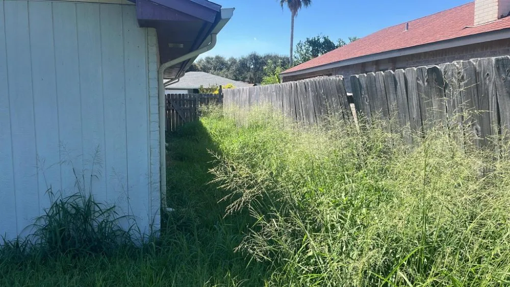 Expert lawn care service experts serving Corpus-Christi, TX - Antonios Lawn Mowing Services