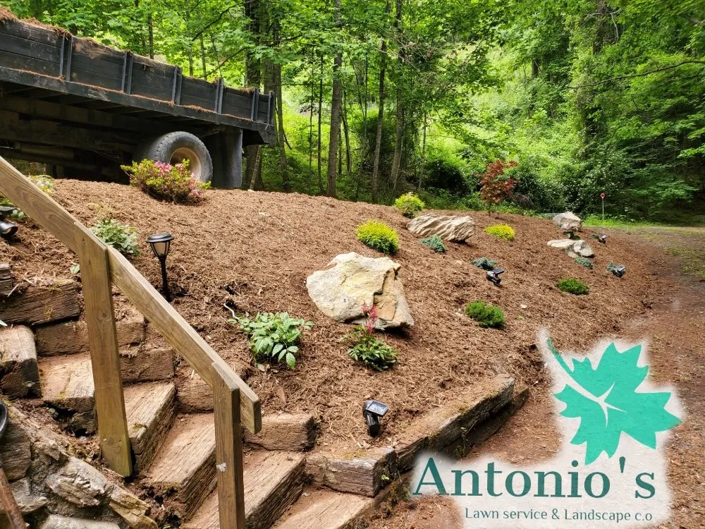 Affordable landscape design for residential properties across Burnsville, NC - Antonio's Lawn Service and Landscape