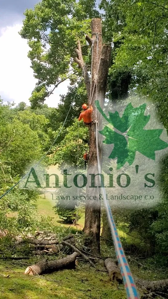 Top-rated landscape installation experts serving Burnsville, NC - Antonio's Lawn Service and Landscape