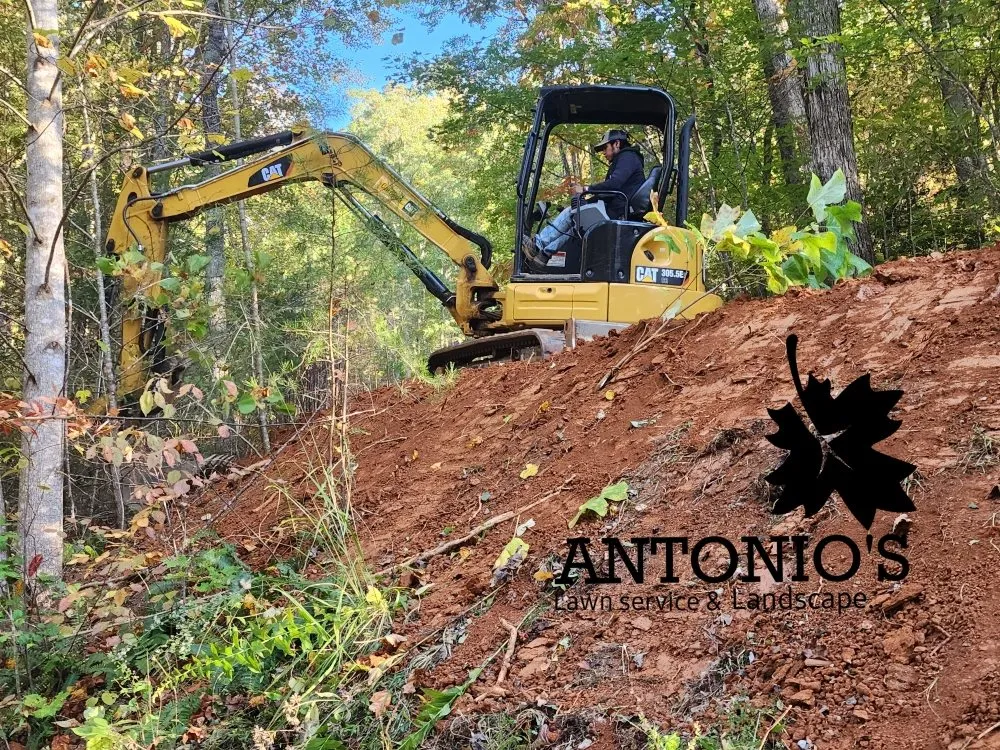 Reliable yard cleanup service in Burnsville, NC by Antonio's Lawn Service and Landscape