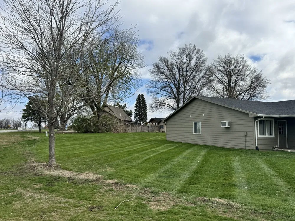 Professional yard cleanup service experts serving Urbandale, IA - Antonios mobile detailing