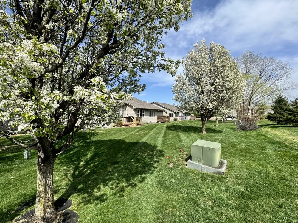 Trusted yard cleanup service experts serving Urbandale, IA - Antonios mobile detailing