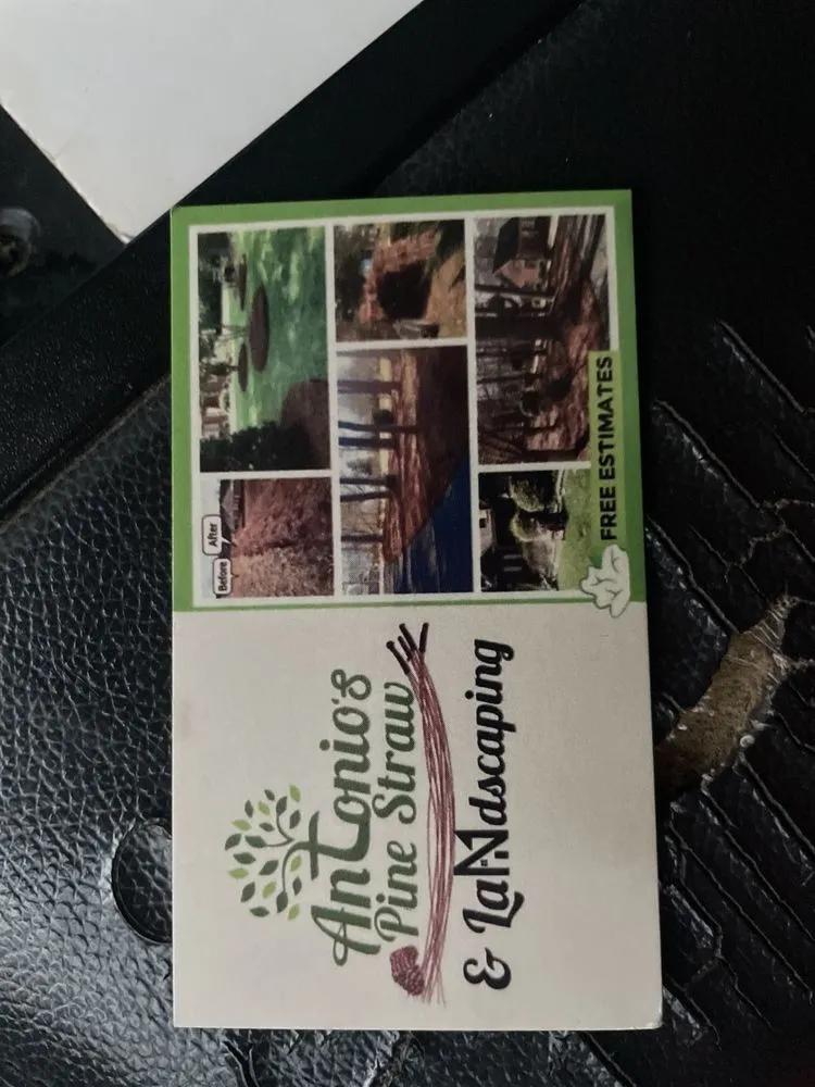 Professional yard cleanup service experts serving Sanford, NC - Antonio's Pine Straw & Landscaping