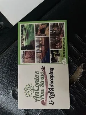 Antonio's Pine Straw & Landscaping Logo