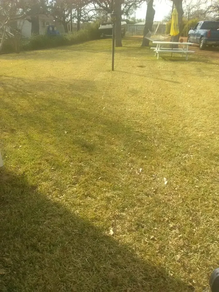 Local landscaping services for beautiful yards across Kingsland, TX - Antonio’s Service