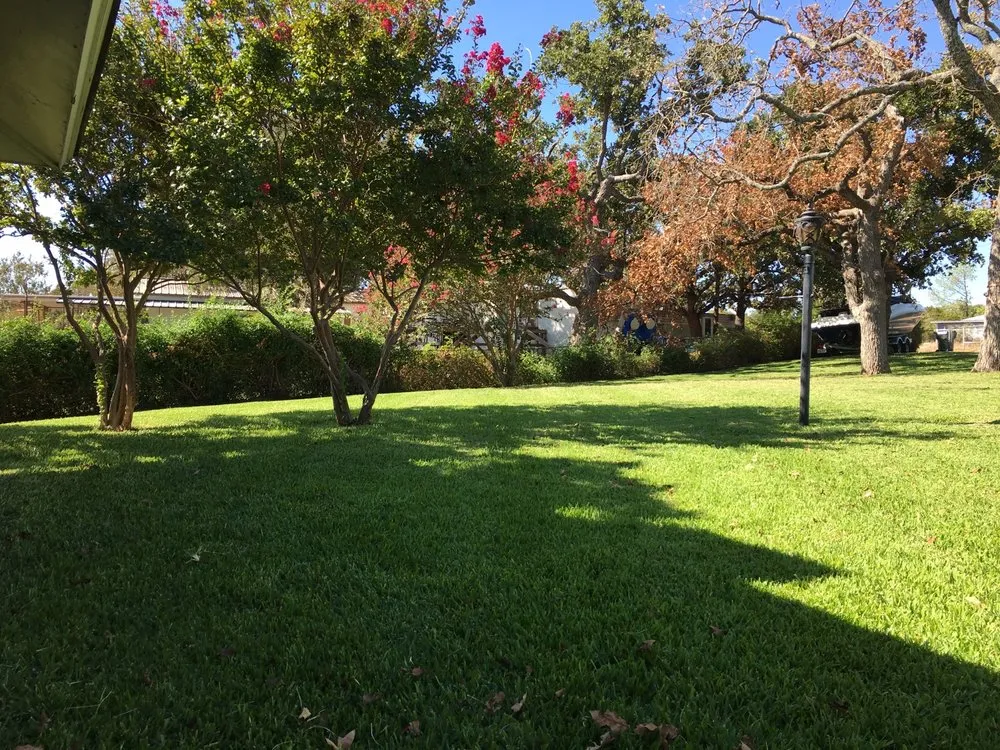 Professional residential landscaping in Kingsland, TX by Antonio’s Service