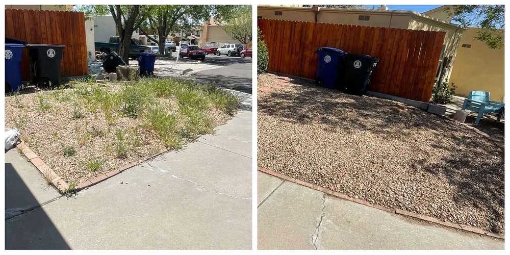 Local lawn care service in Albuquerque, NM - Antonio’s Yard Cleanup