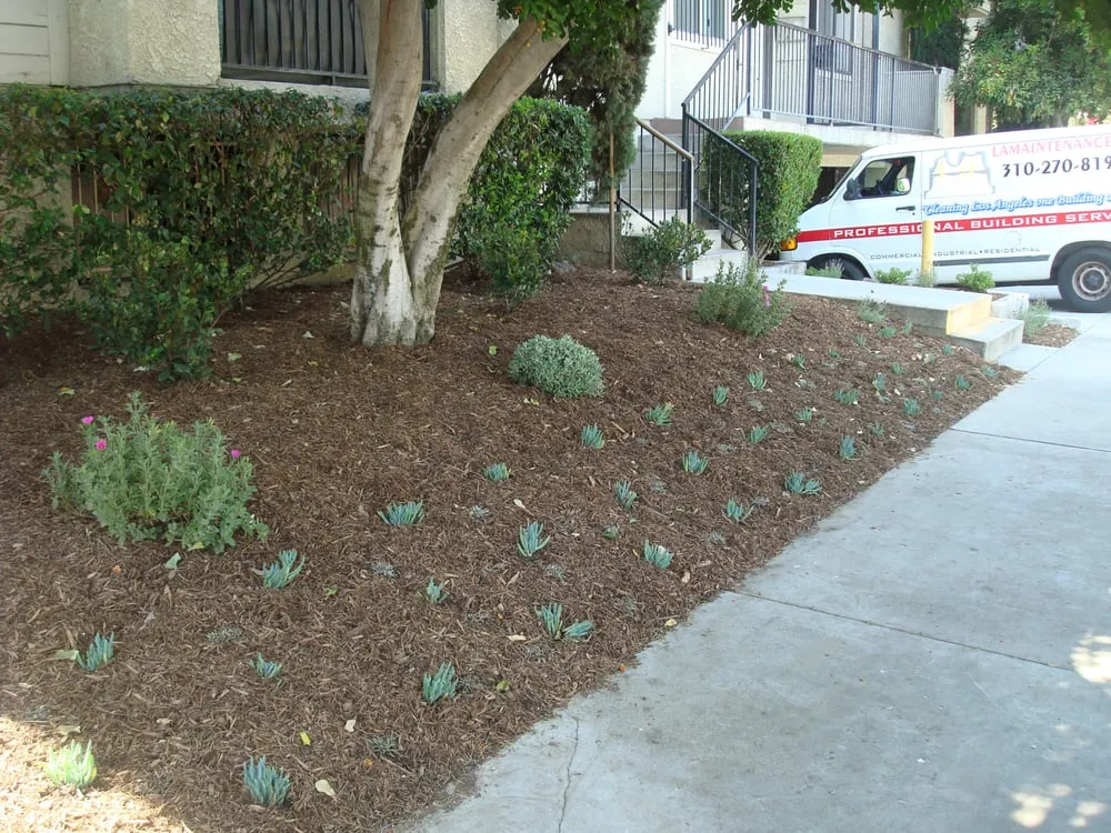 Expert yard cleanup service for homes in Mission Hills, CA by Antoni's Landscaping