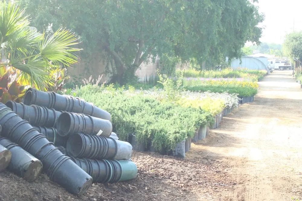 Expert lawn care service experts serving Mission Hills, CA - Antoni's Landscaping