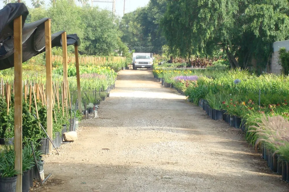 Affordable garden landscaping with custom design across Mission Hills, CA - Antoni's Landscaping