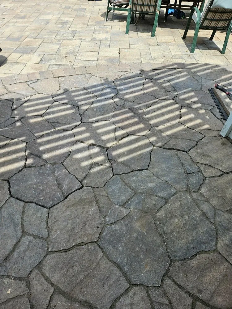 Professional yard maintenance for beautiful yards across Escondido, CA - Antony Landscaping