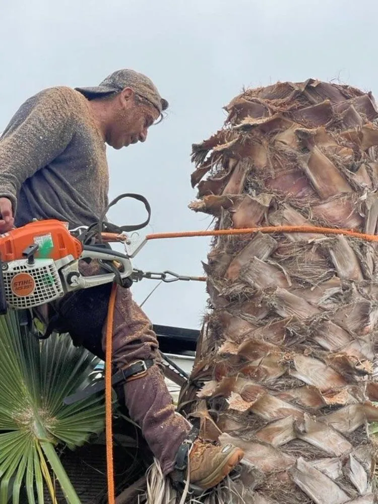 Reliable residential landscaping with custom design in Escondido, CA by Antony Landscaping