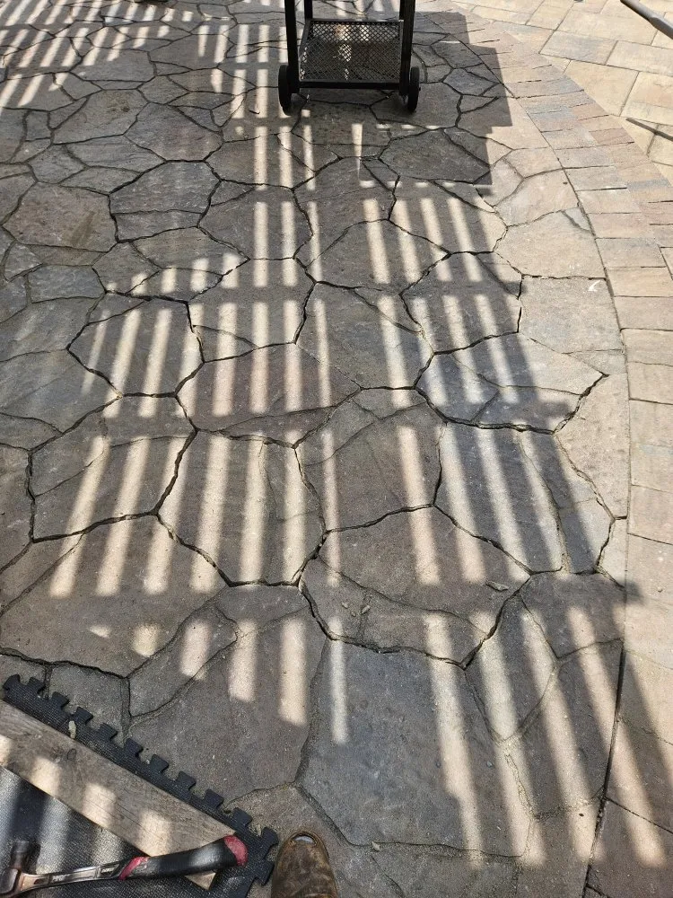 Local landscape installation near you across Escondido, CA - Antony Landscaping