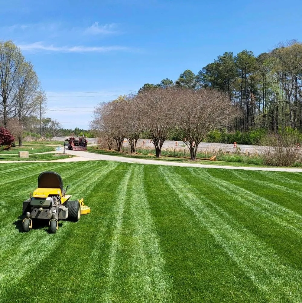 Professional outdoor landscaping in Willow Spring, NC - Antony’s Landscaping
