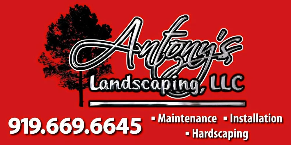 Expert yard cleanup service for outdoor upgrades across Willow Spring, NC - Antony’s Landscaping