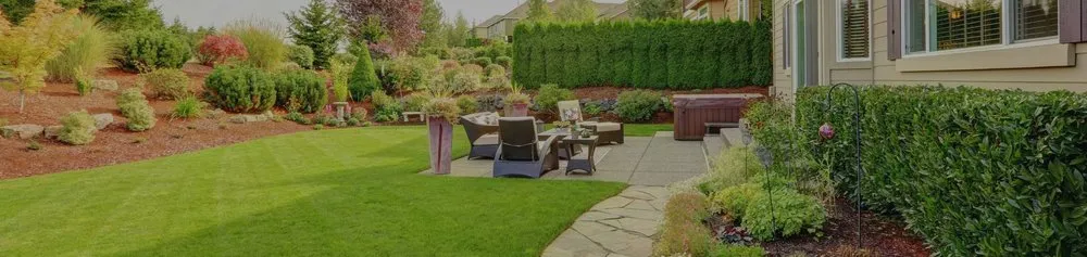 Affordable yard cleanup service experts serving Belton, TX - Ants Landscaping and More