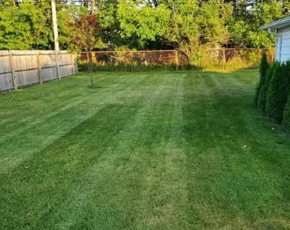 Expert garden landscaping for year-round maintenance in Belton, TX by Ants Landscaping and More