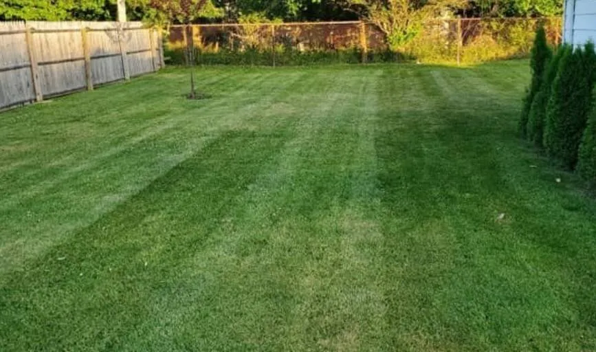 Professional residential landscaping in Belton, TX - Ants Landscaping and More