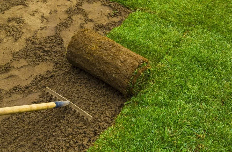Affordable lawn care service in Belton, TX - Ants Landscaping and More