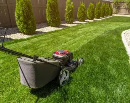 Custom yard maintenance in Belton, TX by Ants Landscaping and More