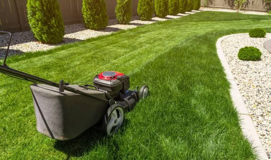 Local landscape installation for outdoor upgrades across Belton, TX - Ants Landscaping and More