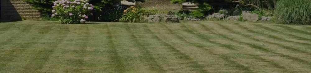 Trusted landscaping services experts serving Belton, TX - Ants Landscaping and More