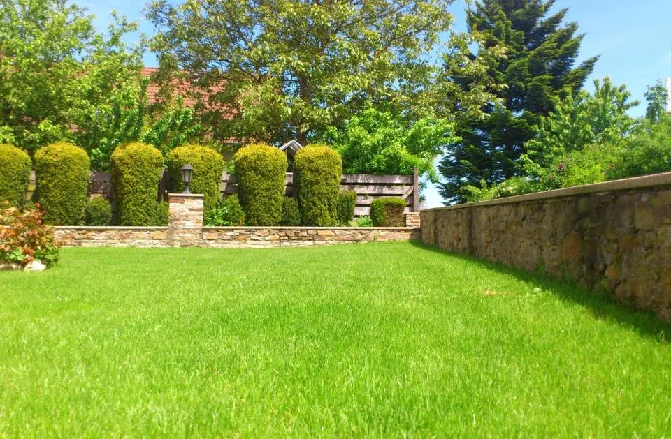 Expert lawn mowing service experts serving Belton, TX - Ants Landscaping and More