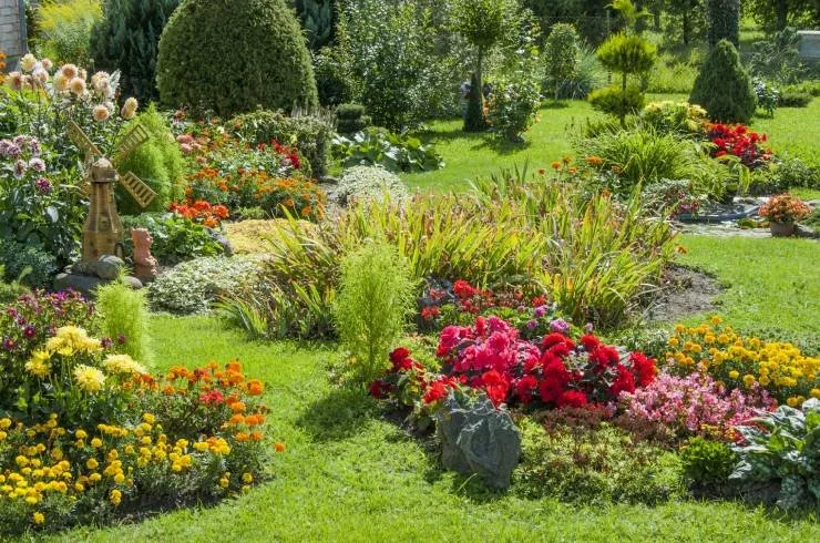 Reliable yard maintenance in Belton, TX - Ants Landscaping and More