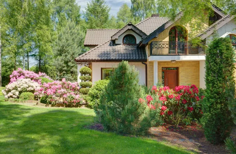 Affordable residential landscaping for year-round maintenance in Belton, TX by Ants Landscaping and More