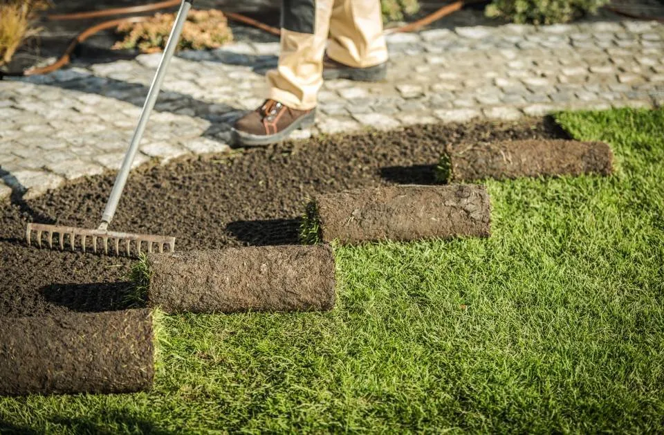 Reliable landscaping services for residential properties in Belton, TX by Ants Landscaping and More