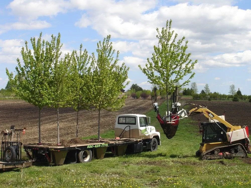 Local lawn care service in Santa Fe, NM by Ants Landscaping